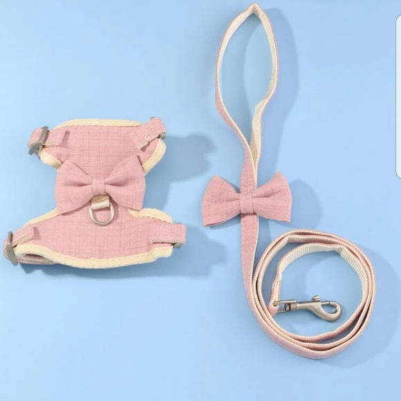 Harness and leash - Picture 3 of 6